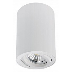 Накладной светильник arte lamp sentry a1566pl-1wh
